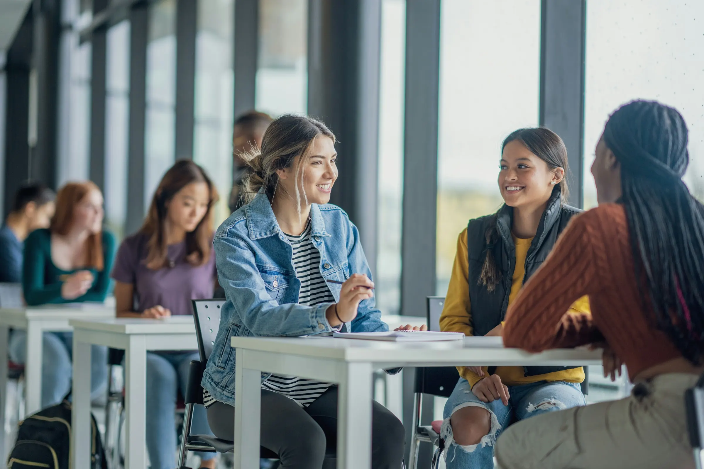 IB Diploma Standard Level student working through internal assessments and past papers with an Ustaad tutor in Dubai UAE